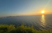 1_11zon.webp