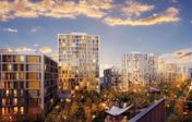 news11-1_8_11zon.webp