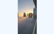 6_11zon.webp