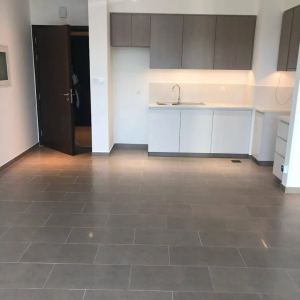 1-спальные апартаменты в Park Heights 1