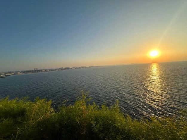 1_11zon.webp