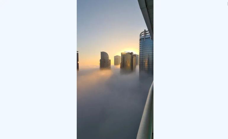 6_11zon.webp